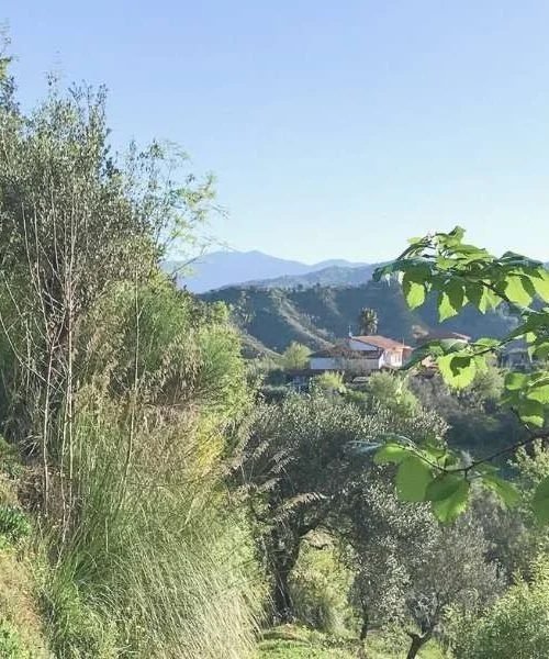 Vista sulle colline del Cilento dal B&B