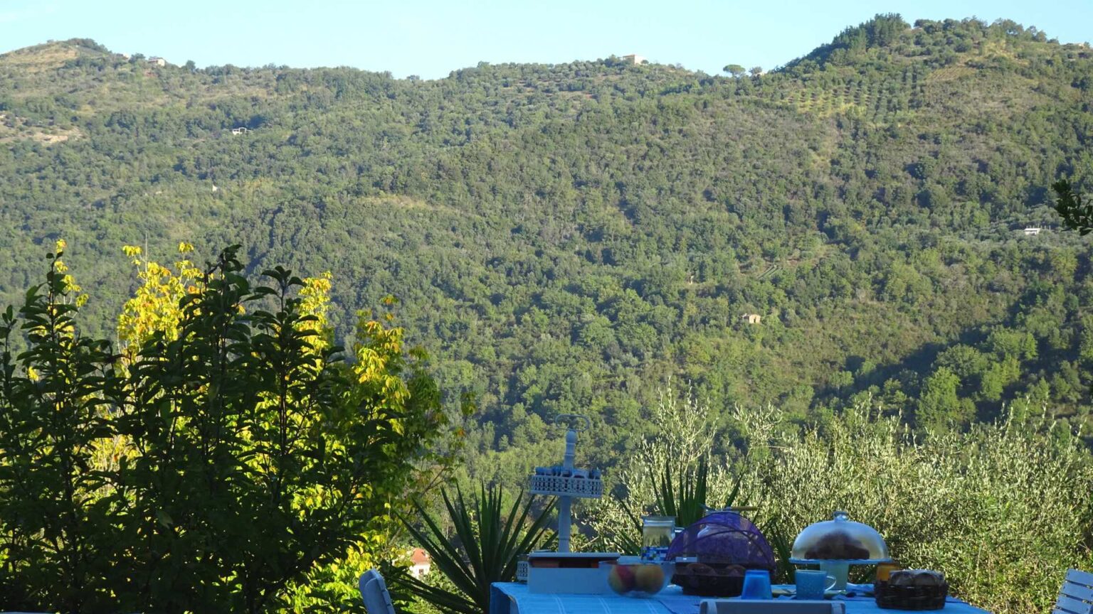 B&B In Cilento - B&B Benvenuti Nel Sud - B&B Sessa Cilento